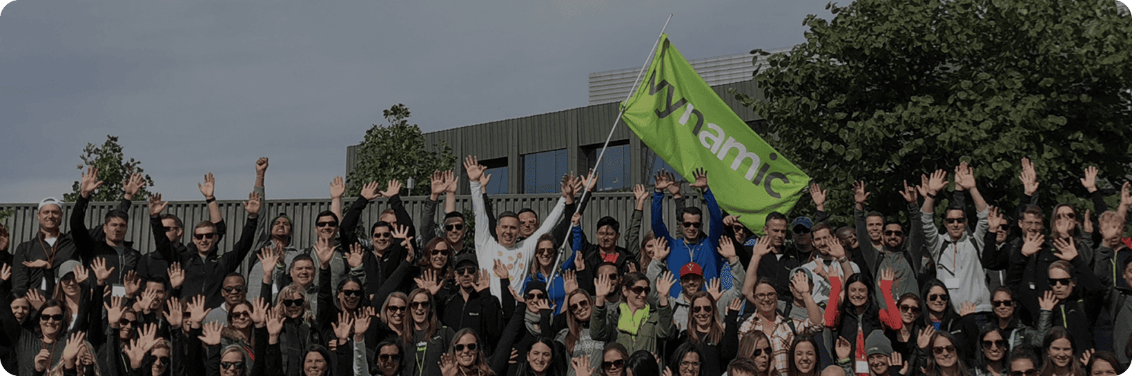 Vynamic feature image